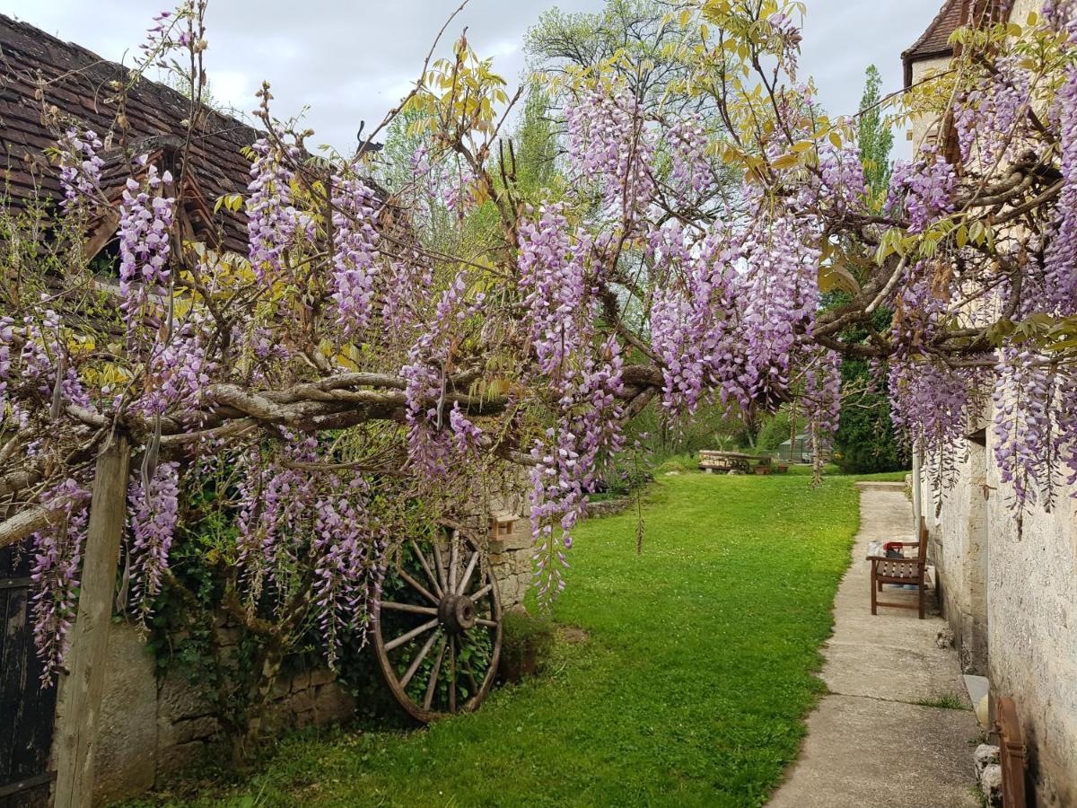Le Moulin De Jules Et Akasha Bed & Breakfast Murat Екстериор снимка